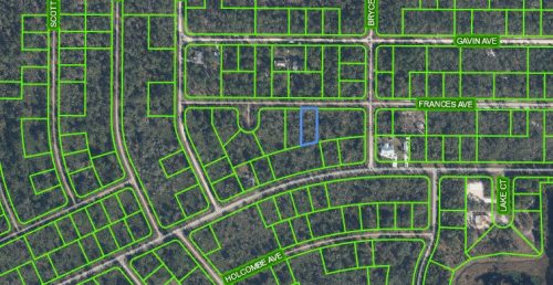 3130 Frances Avenue, Lake Placid, Florida 33852