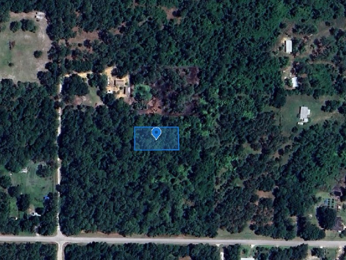 3175 W Foli Road, Avon Park, Florida 33825
