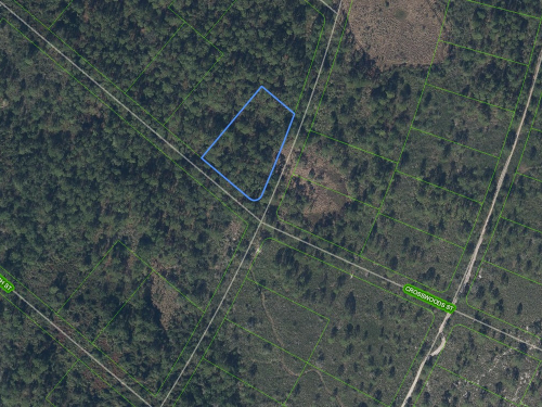 1266 Crosswoods Street, Lake Placid, Florida 33852