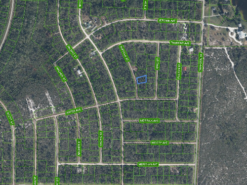 729 Suffolk Street, Lake Placid, Florida 33852
