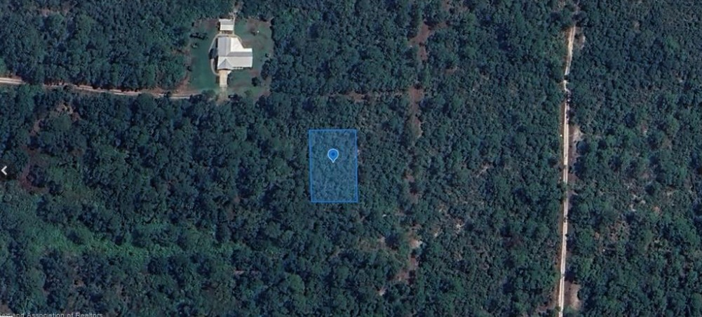 233 Caswell Lane, Lake Placid, Florida 33852