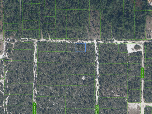 2215 Flower Terrace, Sebring, Florida 33875