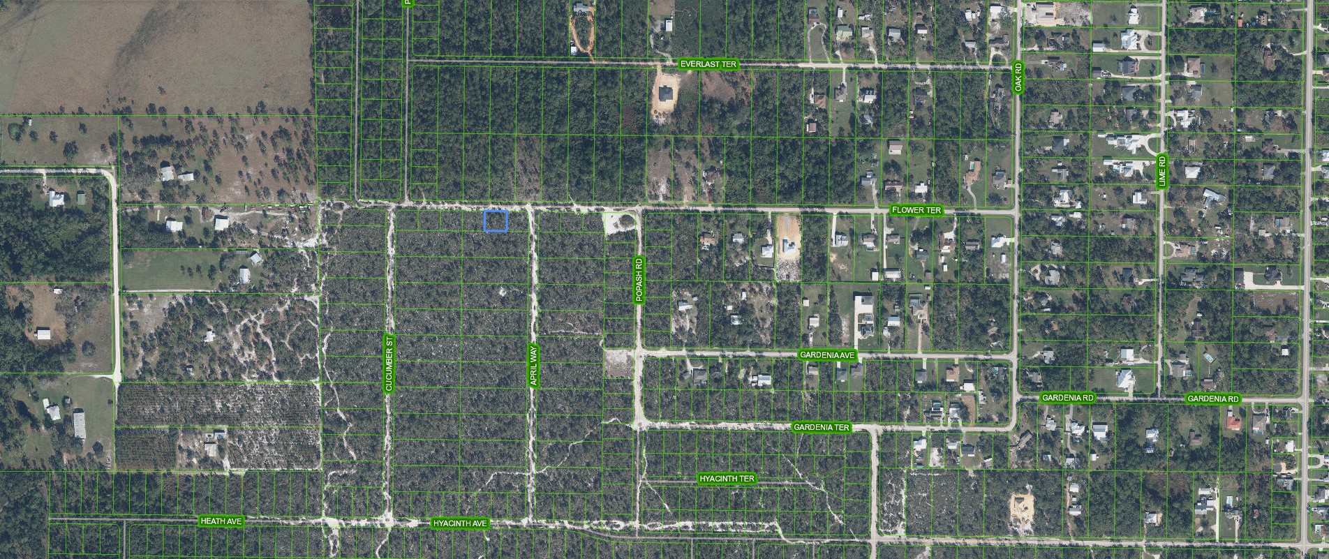 2215 Flower Terrace, Sebring, Florida 33875 - Image 3