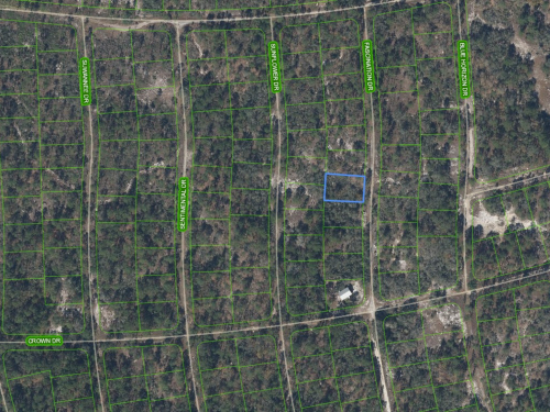 252 Fascination Drive, Lake Placid, Florida 33852