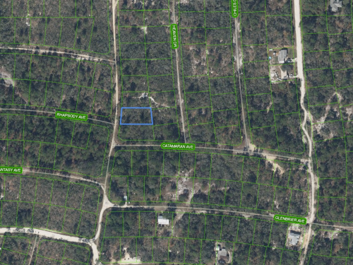 425 Twilight Drive, Lake Placid, Florida 33852