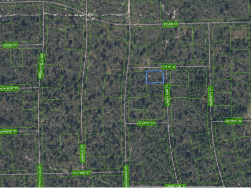 305 Dolly Lane, Lake Placid, Florida 33852