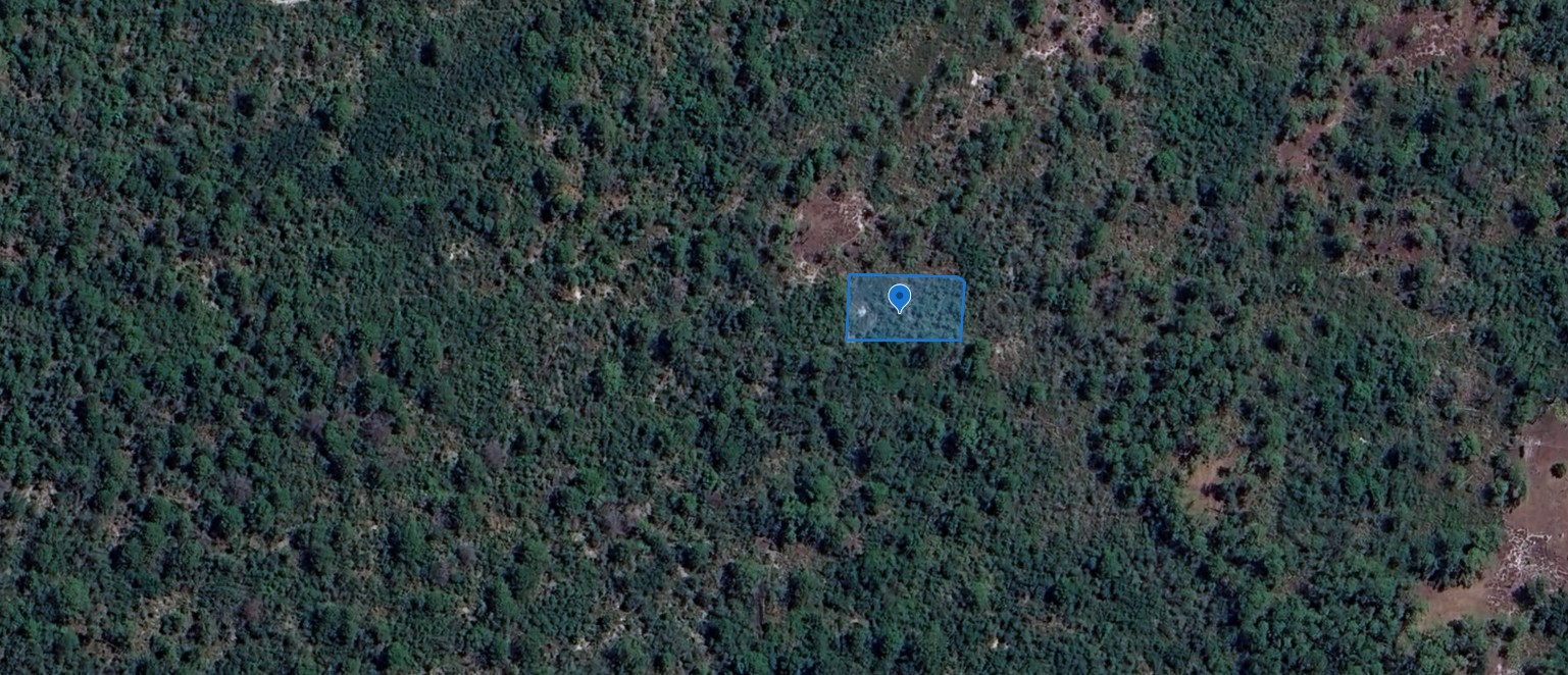 305 Dolly Lane, Lake Placid, Florida 33852 - Image 5