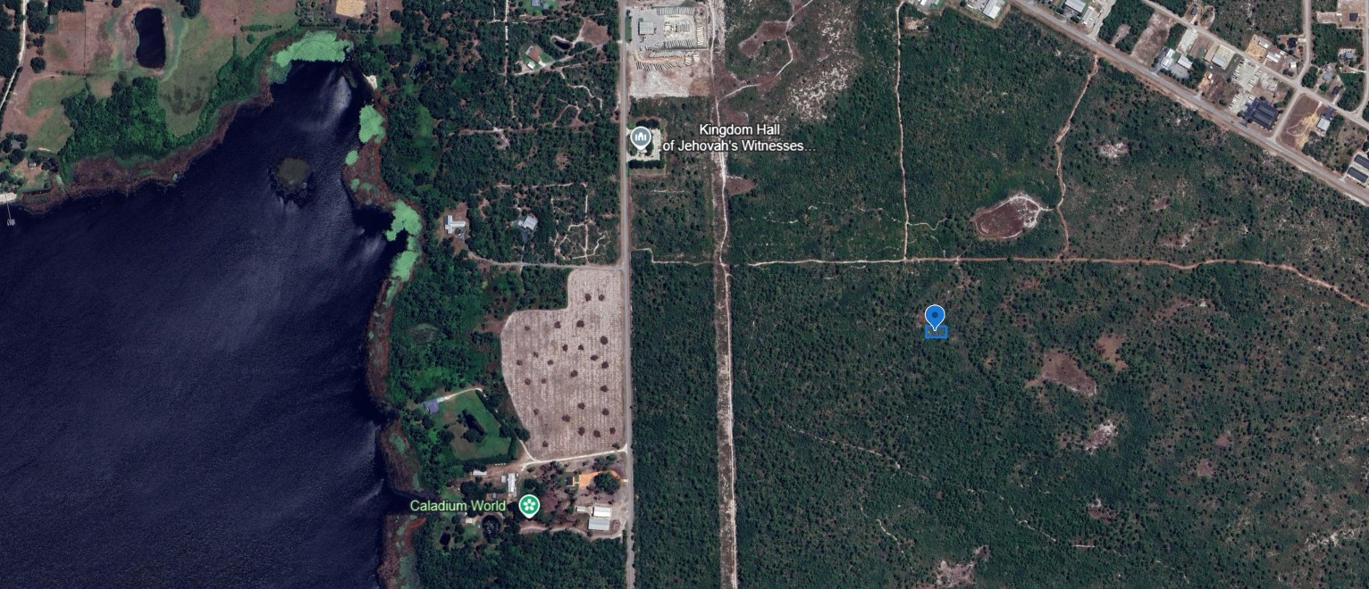 305 Dolly Lane, Lake Placid, Florida 33852 - Image 6