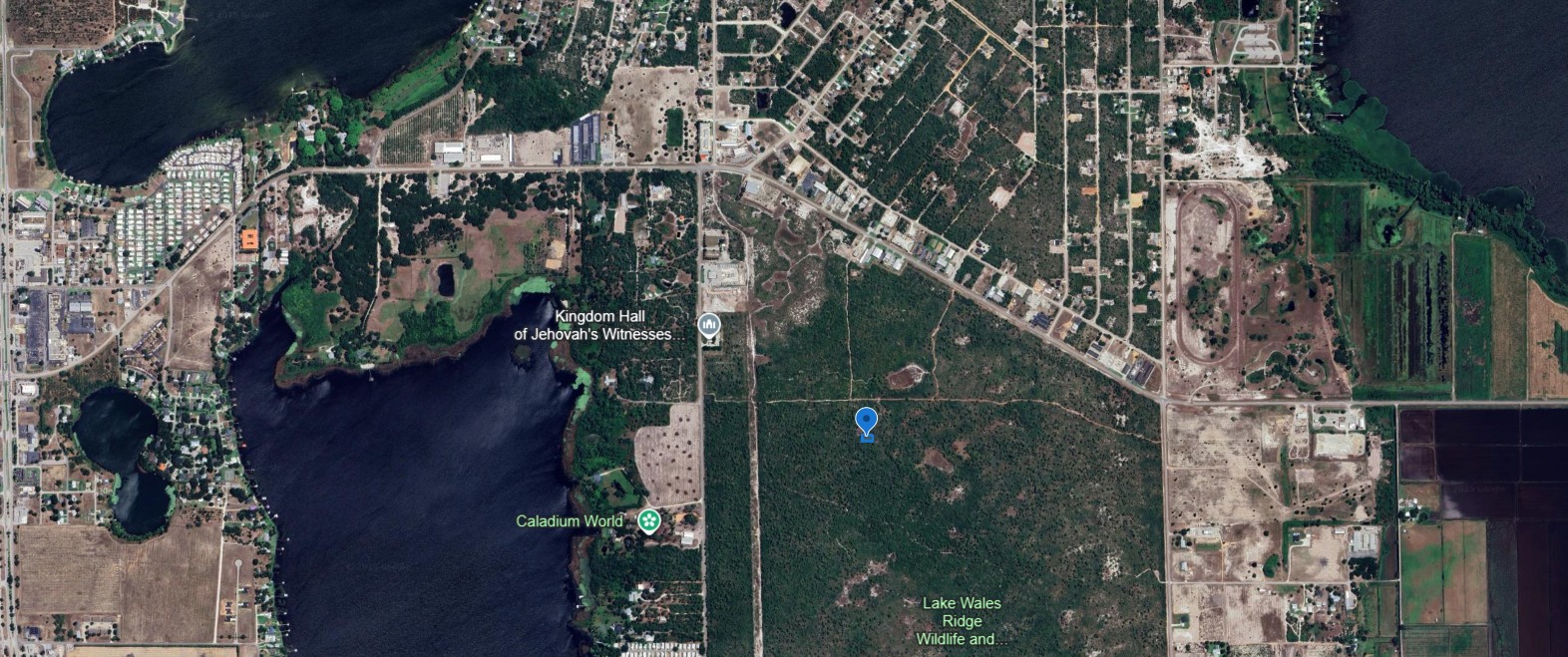 305 Dolly Lane, Lake Placid, Florida 33852 - Image 7
