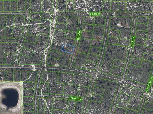 431 Lucille Lane, Lake Placid, Florida 33852