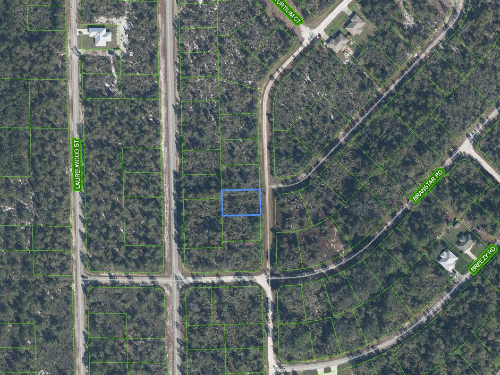3292 Gossamer Avenue, Lake Placid, Florida 33852