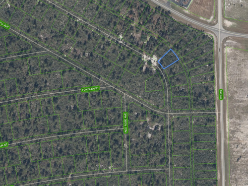 556 Ebbtide Avenue, Lake Placid, Florida 33852