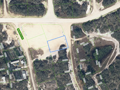 132 Joy Drive, Lake Placid, Florida 33852