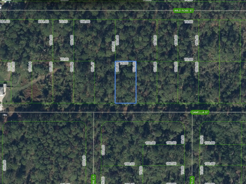 1412 Camellia Street, Lake Placid, Florida 33852