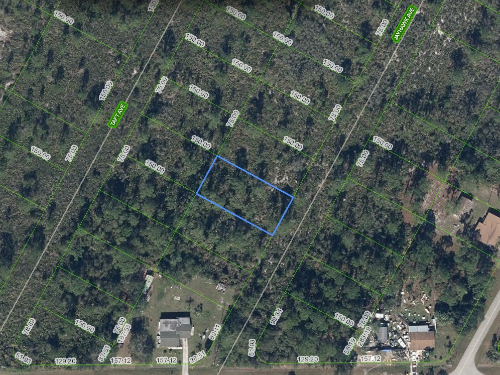 1432 Jayhawk Avenue, Lake Placid, Florida 33852