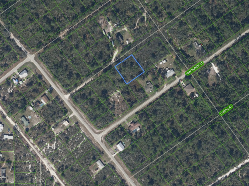 1209 Bradley Avenue, Lake Placid, Florida 33852