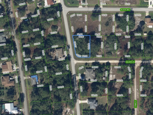 216 Silver Court, Lake Placid, Florida 33852