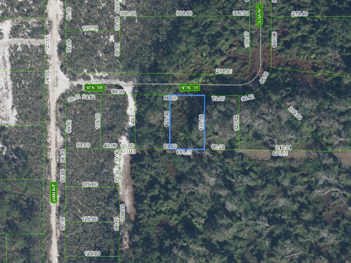 817 Neal Drive, Sebring, Florida 33875