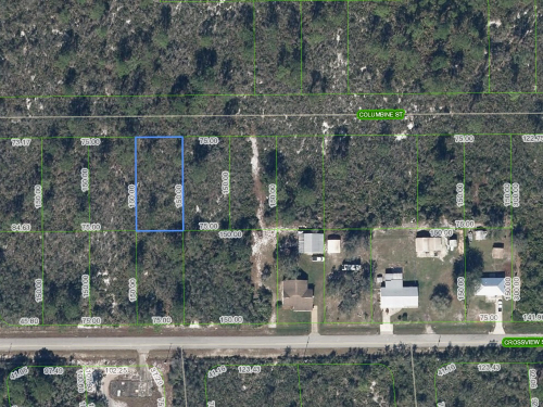 1507 Columbine Street, Lake Placid, Florida 33852