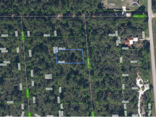722 Ronnie Lane, Lake Placid, Florida 33852