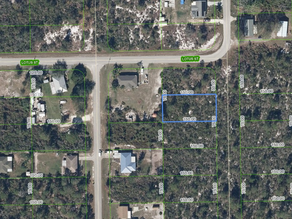 348 Sandpiper Street, Lake Placid, Florida 33852