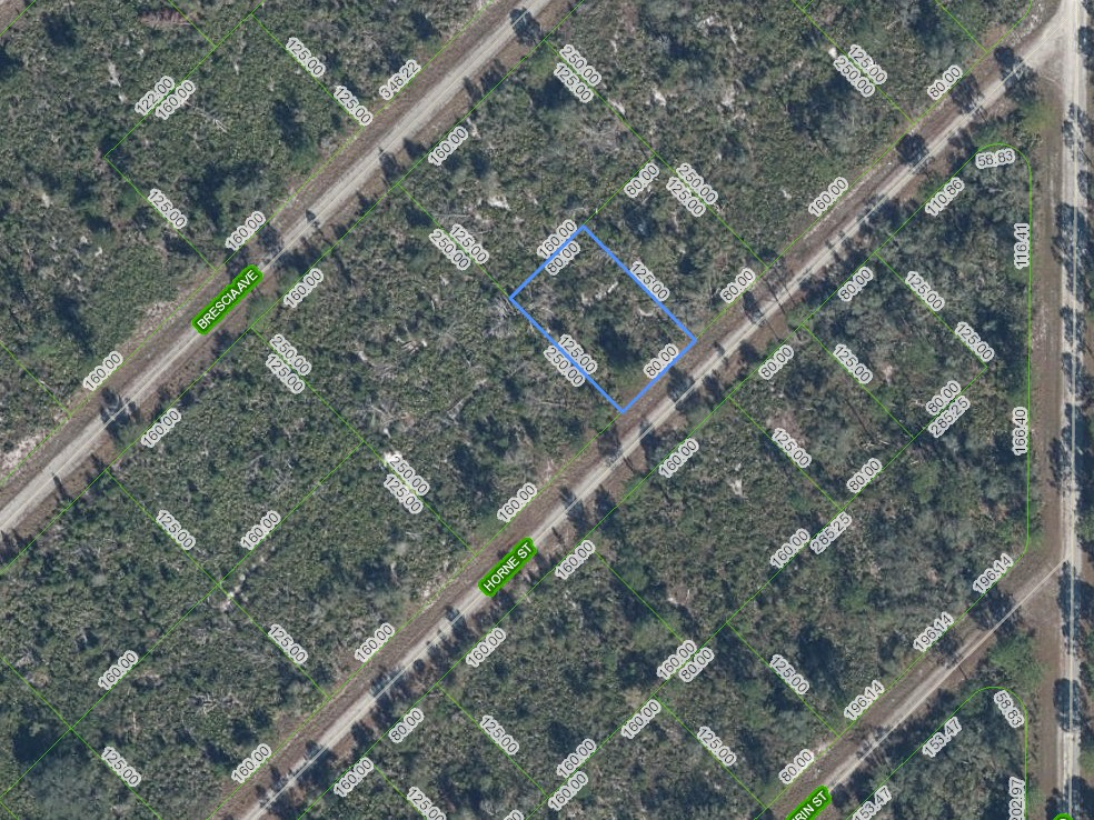 3517 HORNE Street, Lake Placid, Florida 33852