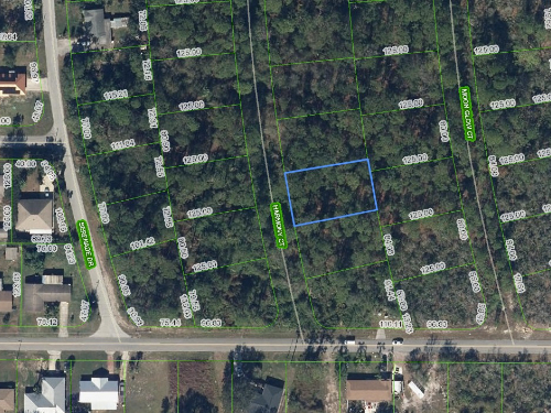 209 Harmony Court, Lake Placid, Florida 33852