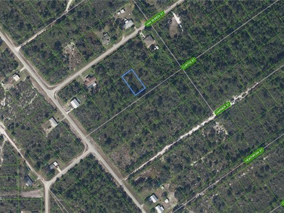 1208 Curtis Street, Lake Placid, Florida 33852