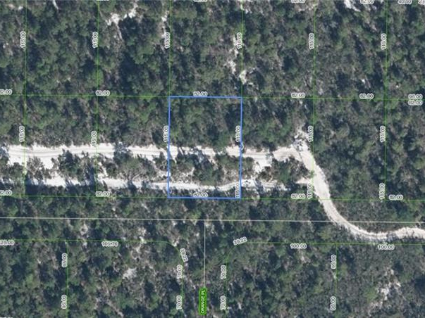 1224 Hyacinth Avenue, Sebring, Florida 33875