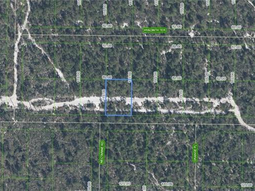 1238 Hyacinth Avenue, Sebring, Florida 33875
