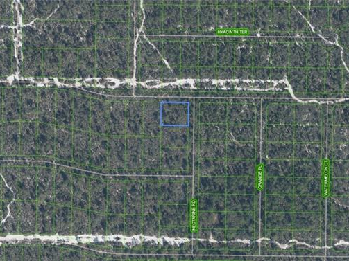 1303 Hyacinth Avenue, Sebring, Florida 33875