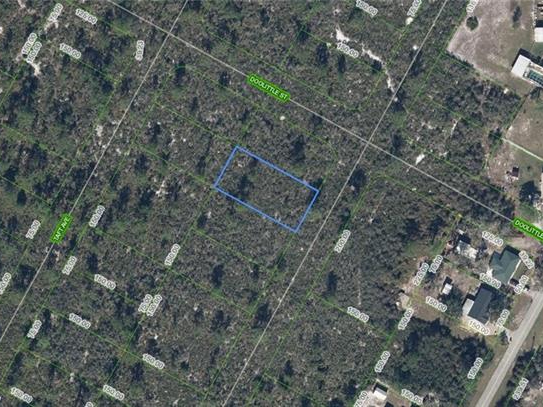 1454 Jayhawk Avenue, Lake Placid, Florida 33852