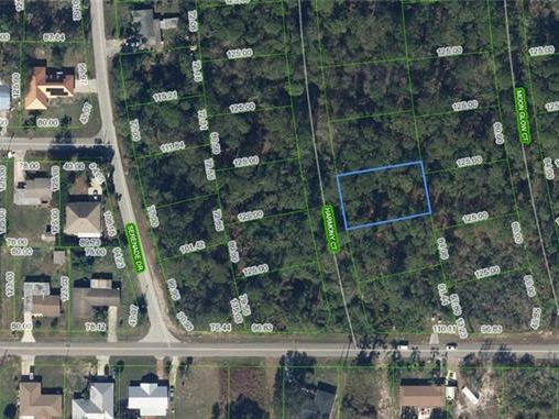 209 Harmony Court, Lake Placid, Florida 33852