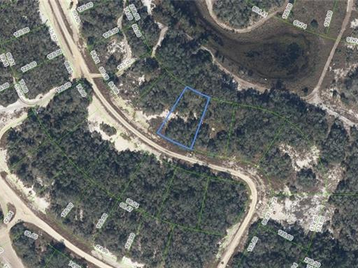 213 Dargen Drive, Lake Placid, Florida 33852