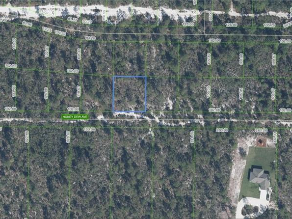 2130 Honey Dew Avenue, Sebring, Florida 33875