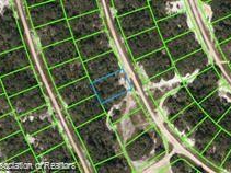 234 Rhythm Drive, Lake Placid, Florida 33852