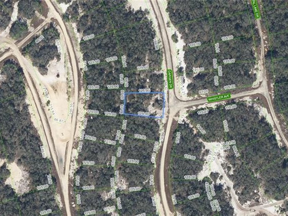 236 Dargen Drive, Lake Placid, Florida 33852