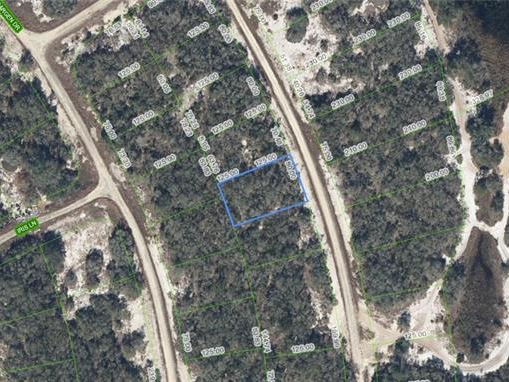 252 Crystal Lake Drive, Lake Placid, Florida 33852