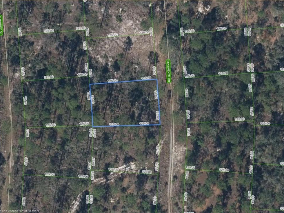 264 Sentimental Drive, Lake Placid, Florida 33852