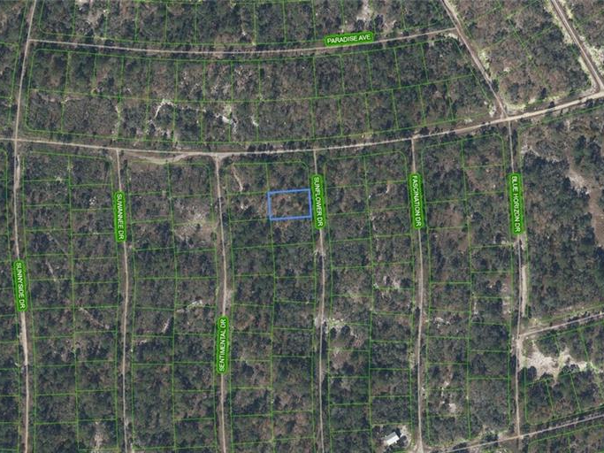 272 Sun Flower Drive, Lake Placid, Florida 33852