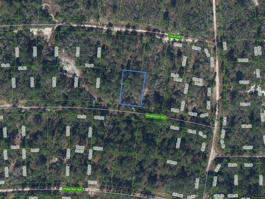 280 Rhapsody Avenue, Lake Placid, Florida 33852