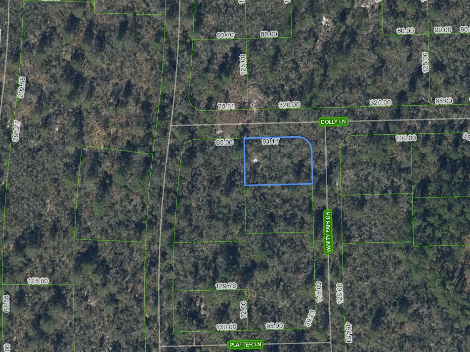 305 Dolly Lane, Lake Placid, Florida 33852