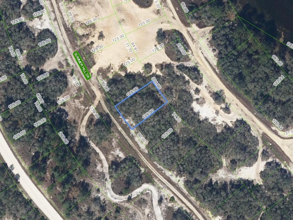 317 Summer Hill Drive, Lake Placid, Florida 33852