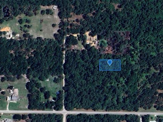 3175 W Foli Road, Avon Park, Florida 33825