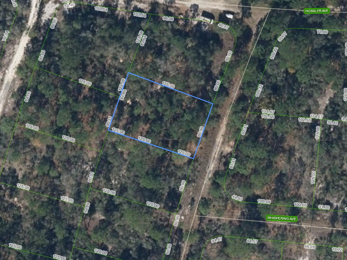 332 Sunnyside Drive, Lake Placid, Florida 33852