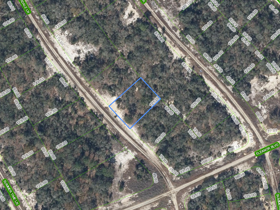 337 Summerdale Lane, Lake Placid, Florida 33852