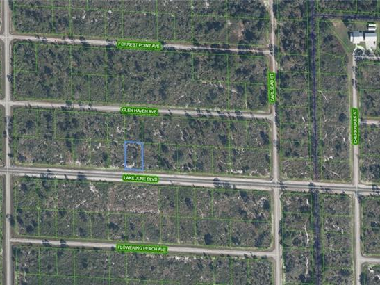 3451 Lake June Boulevard, Lake Placid, Florida 33852