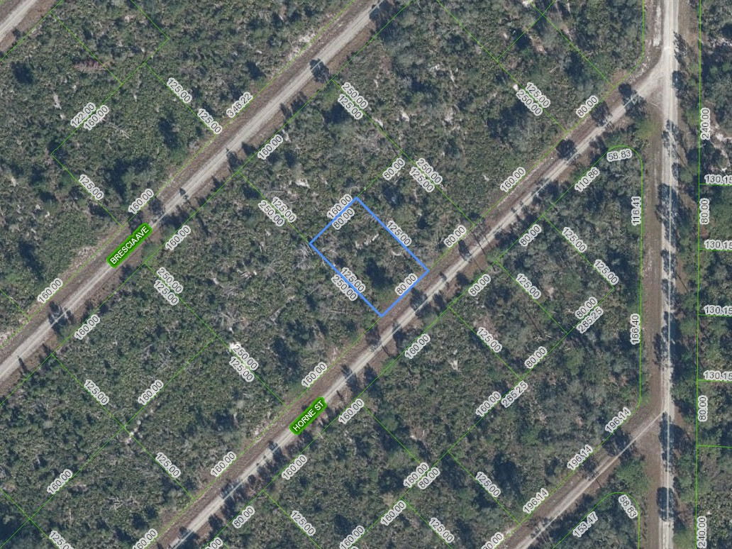 3517 Horne Street, Lake Placid, FL 33852