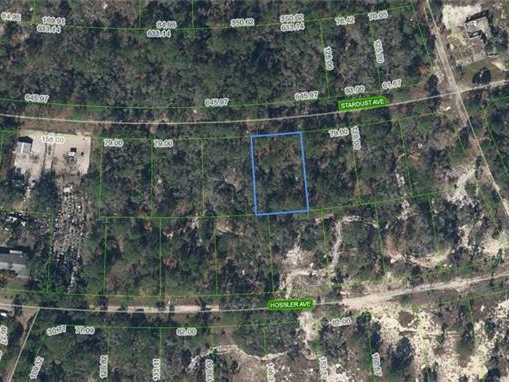 365 Stardust Avenue, Lake Placid, Florida 33852