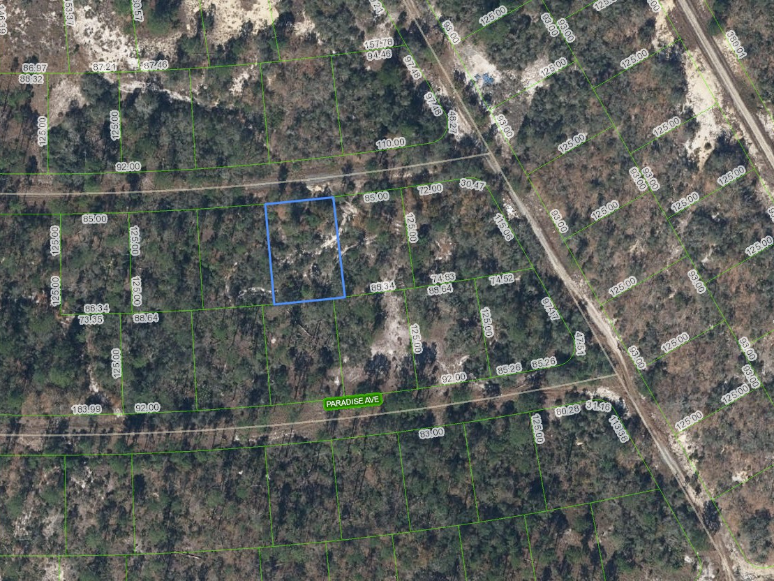 367 Whispering Avenue, Lake Placid, Florida 33852